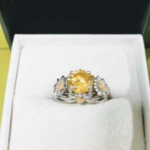 Promise engagement ring